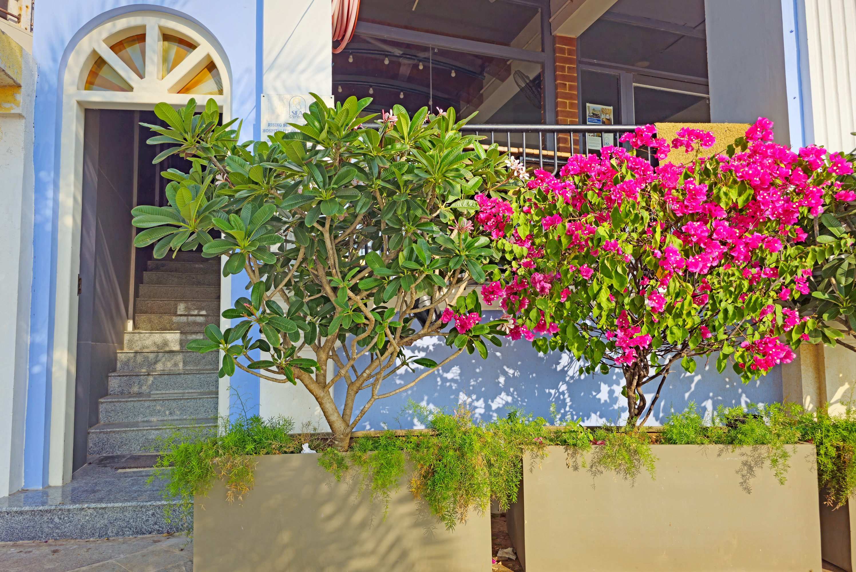 Sea Gadabout Entrance